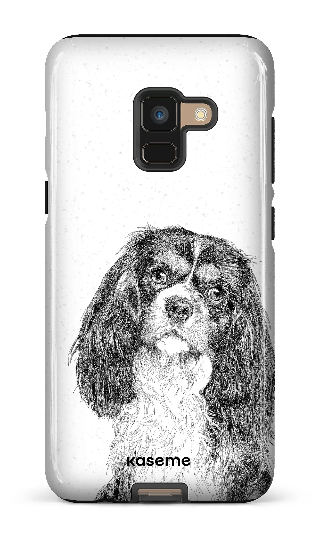 Cavalier King Charles Spaniel
