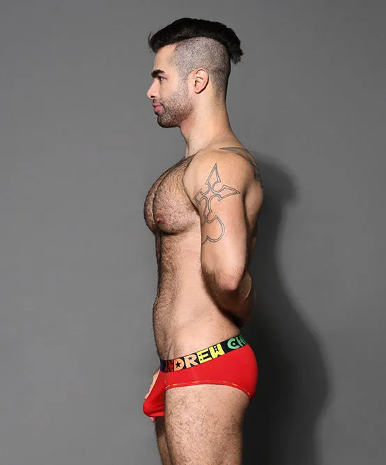 DOORBUSTER! ALMOST NAKED® Hang-Free Pride Brief