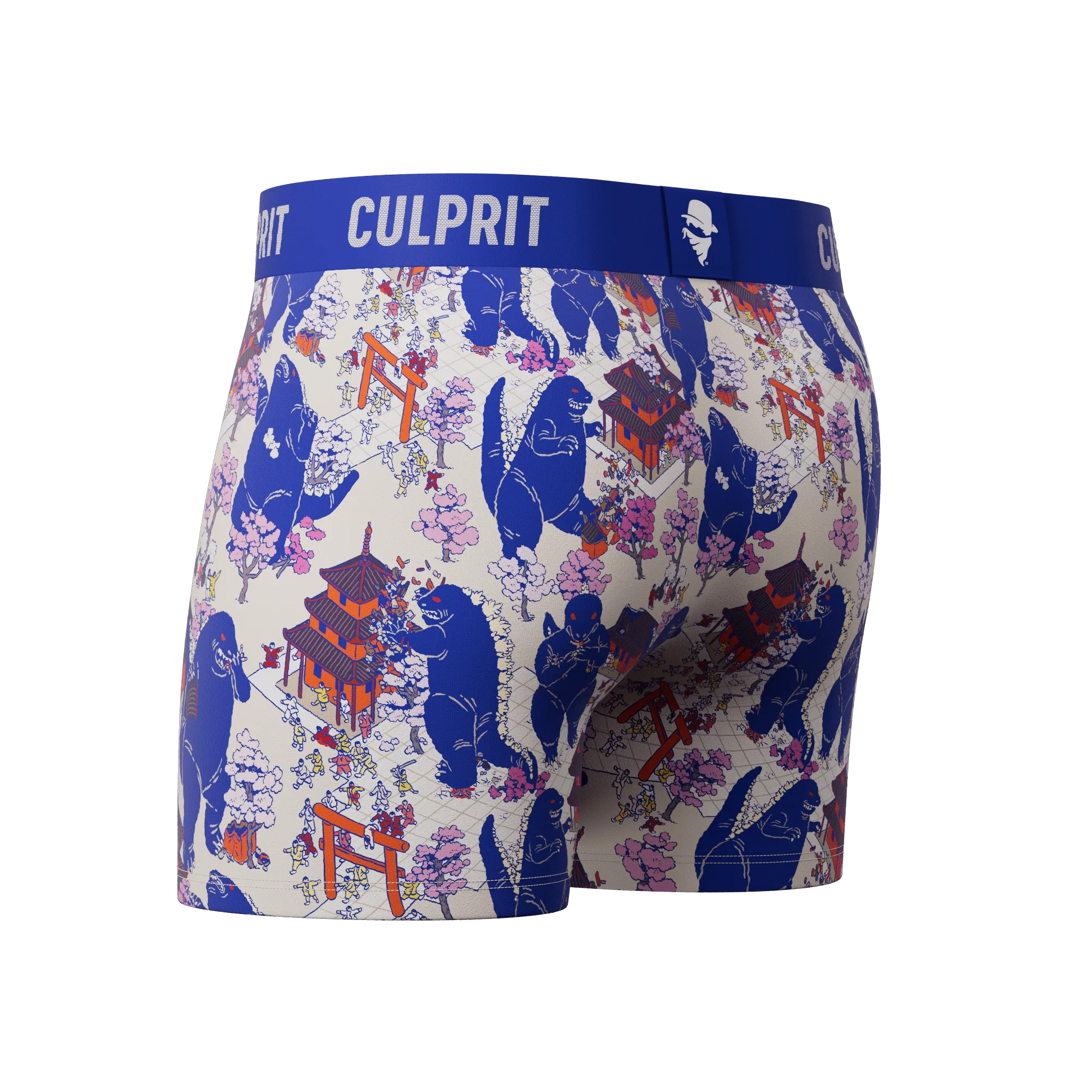 Lizard King 🐲 Boxer Briefs w/ fly