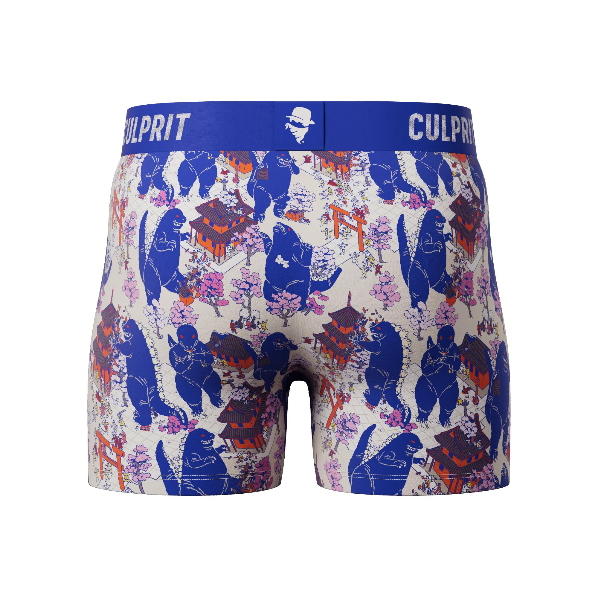 Lizard King 🐲 Boxer Briefs w/ fly