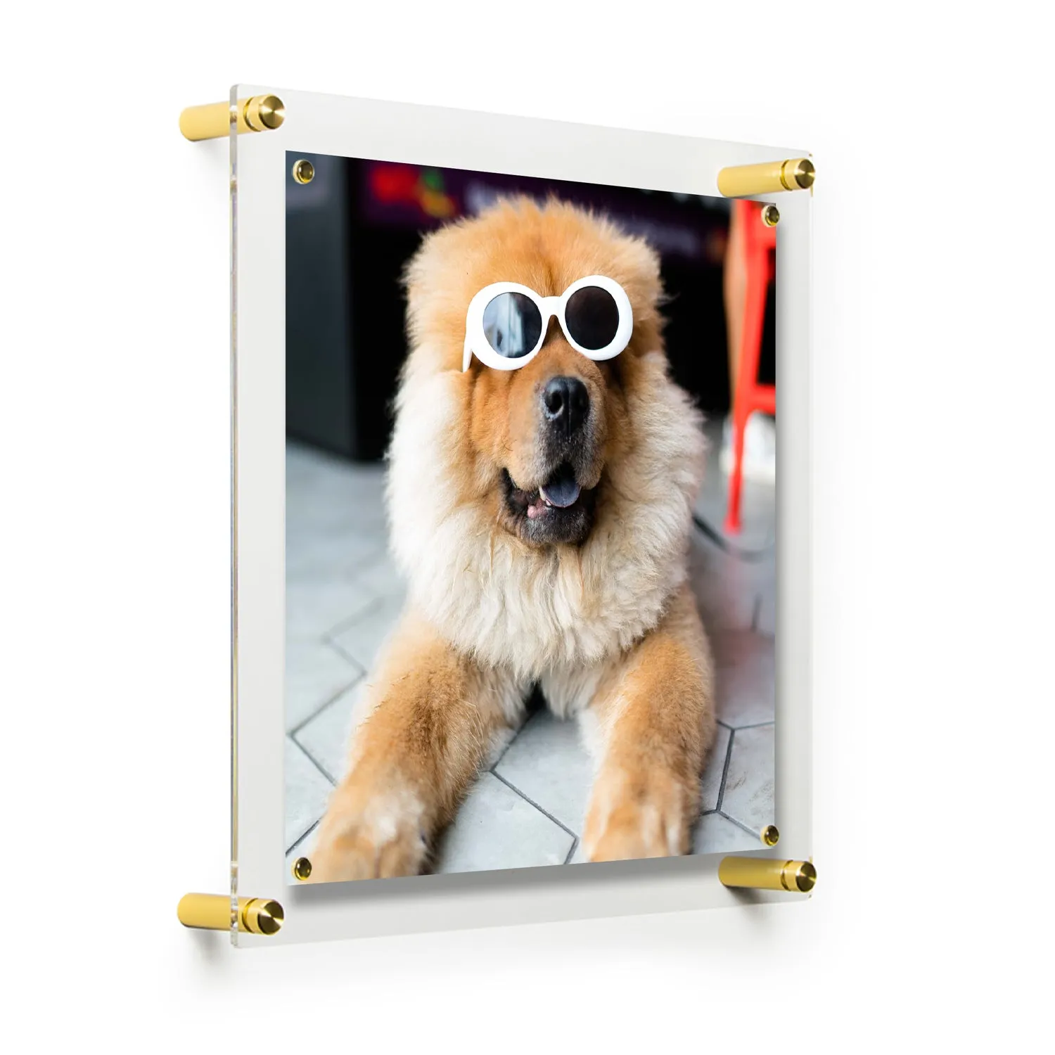 Single Panel Frames   Magnets Case Packs