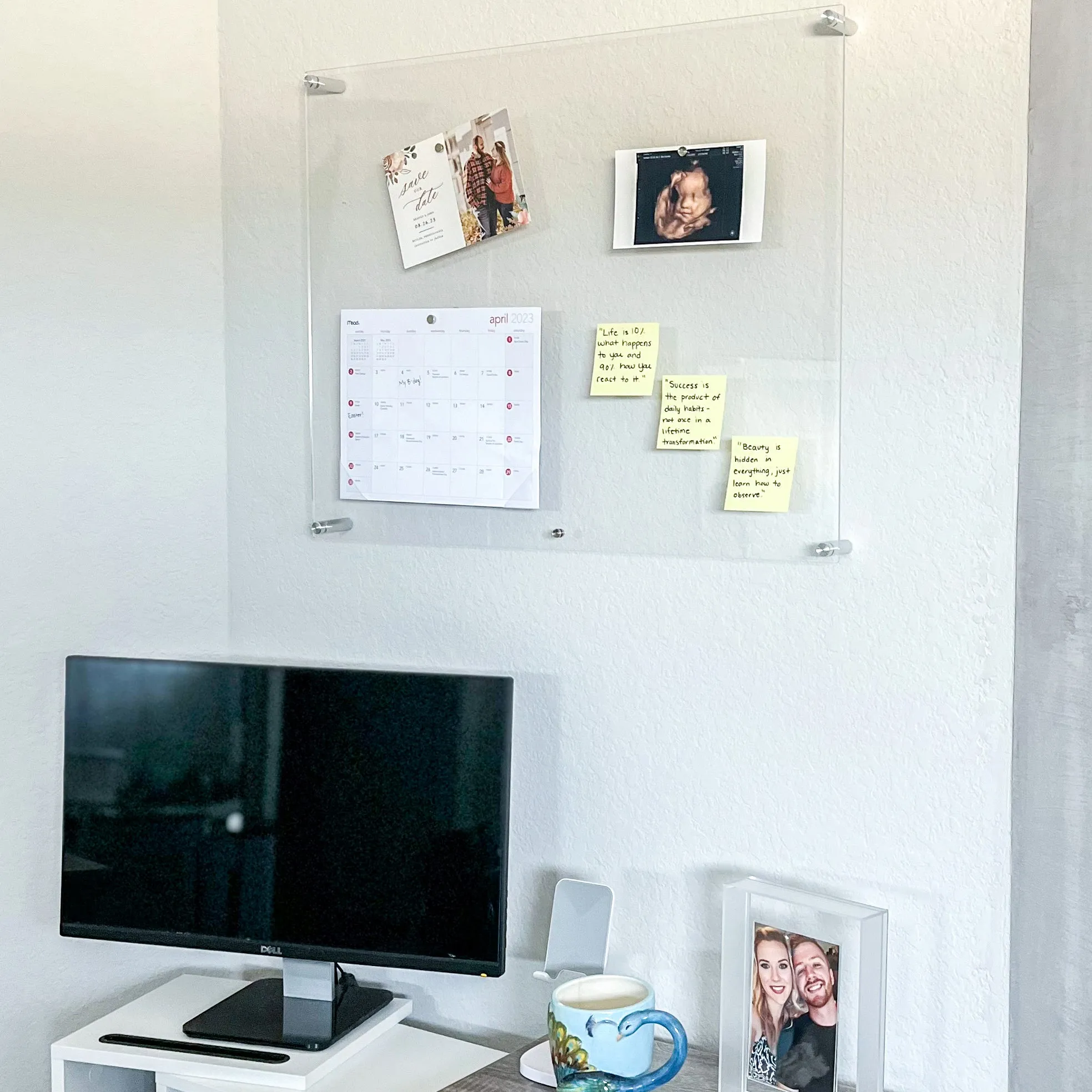 Single Panel Frames   Magnets Case Packs