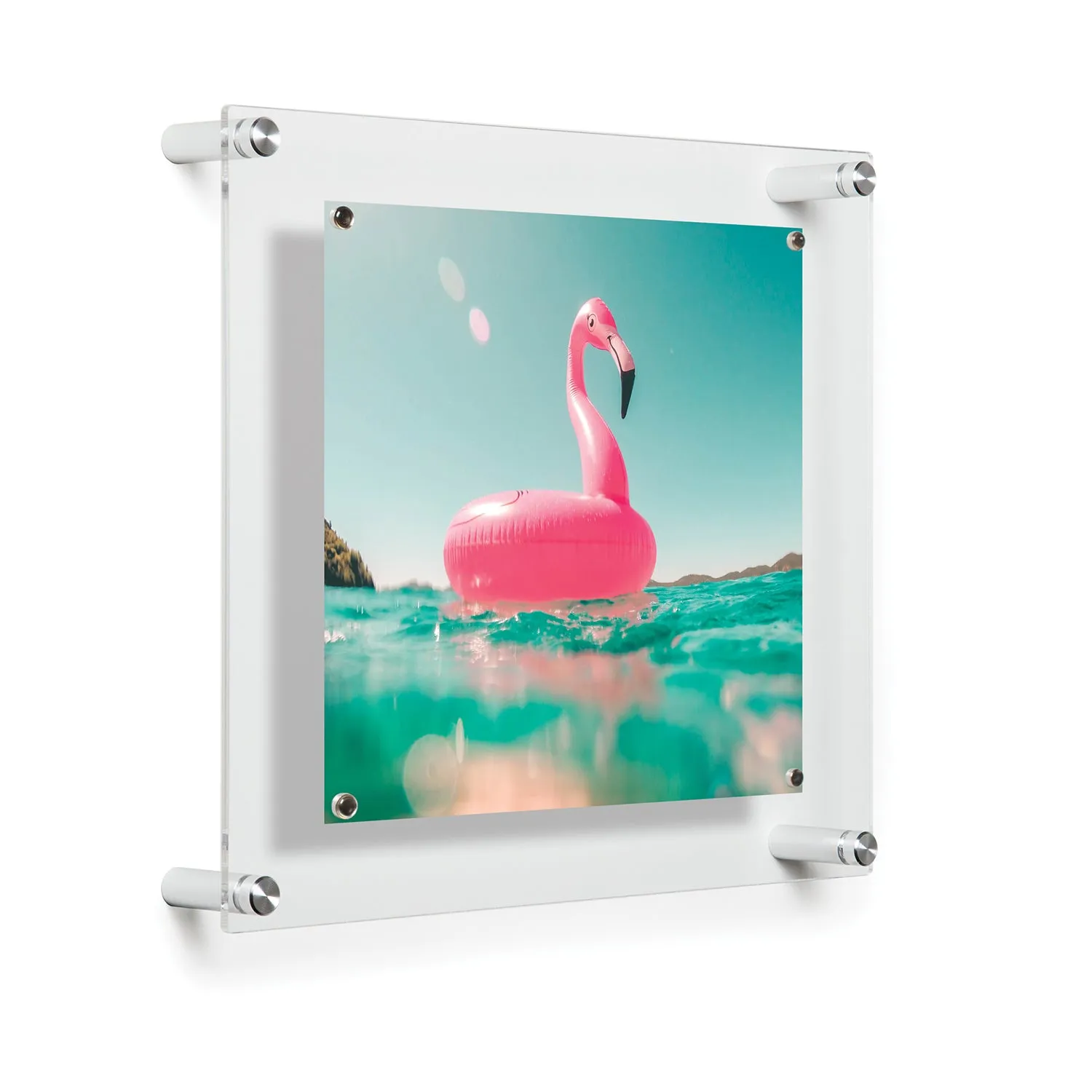 Single Panel Frames   Magnets Case Packs
