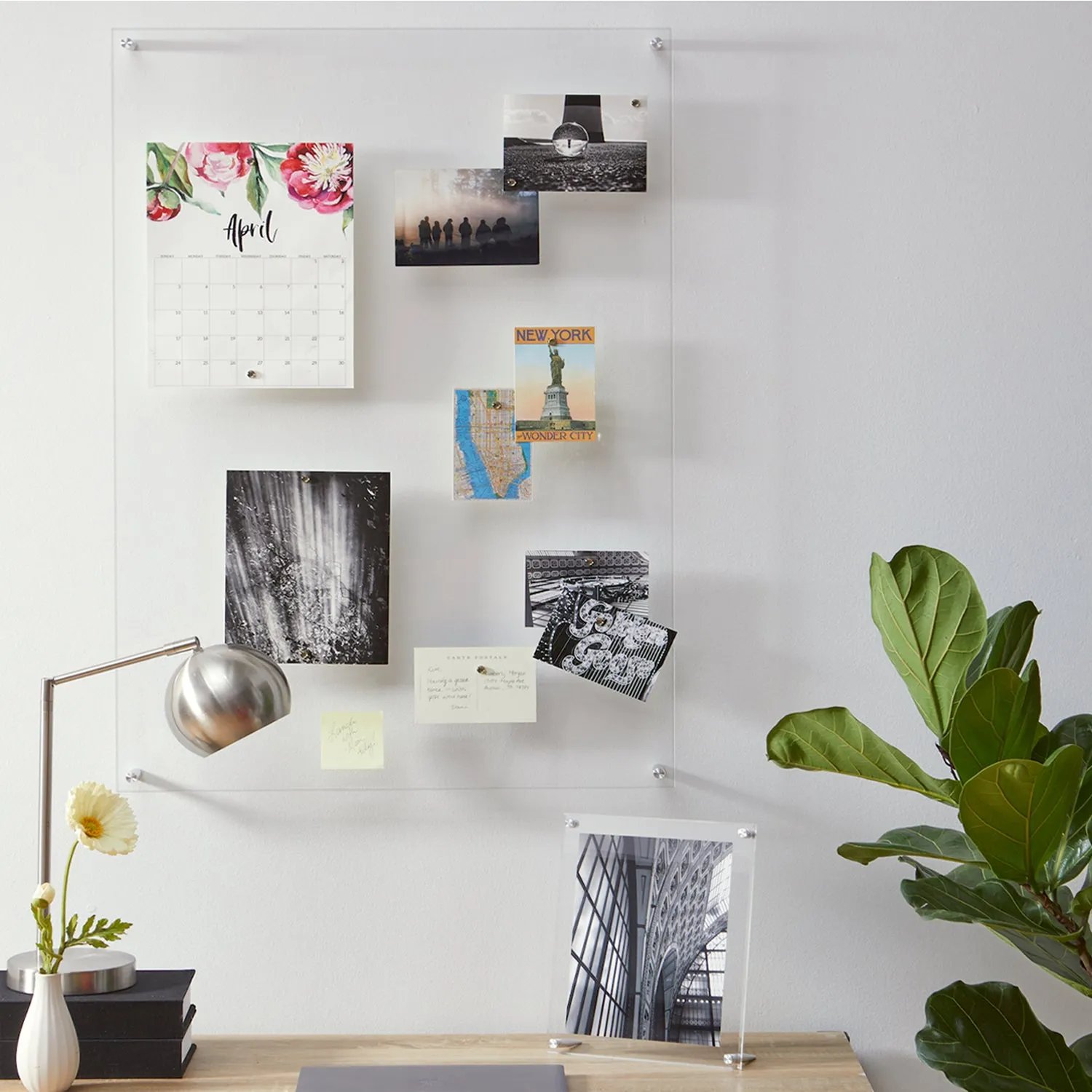 Single Panel Frames   Magnets Case Packs
