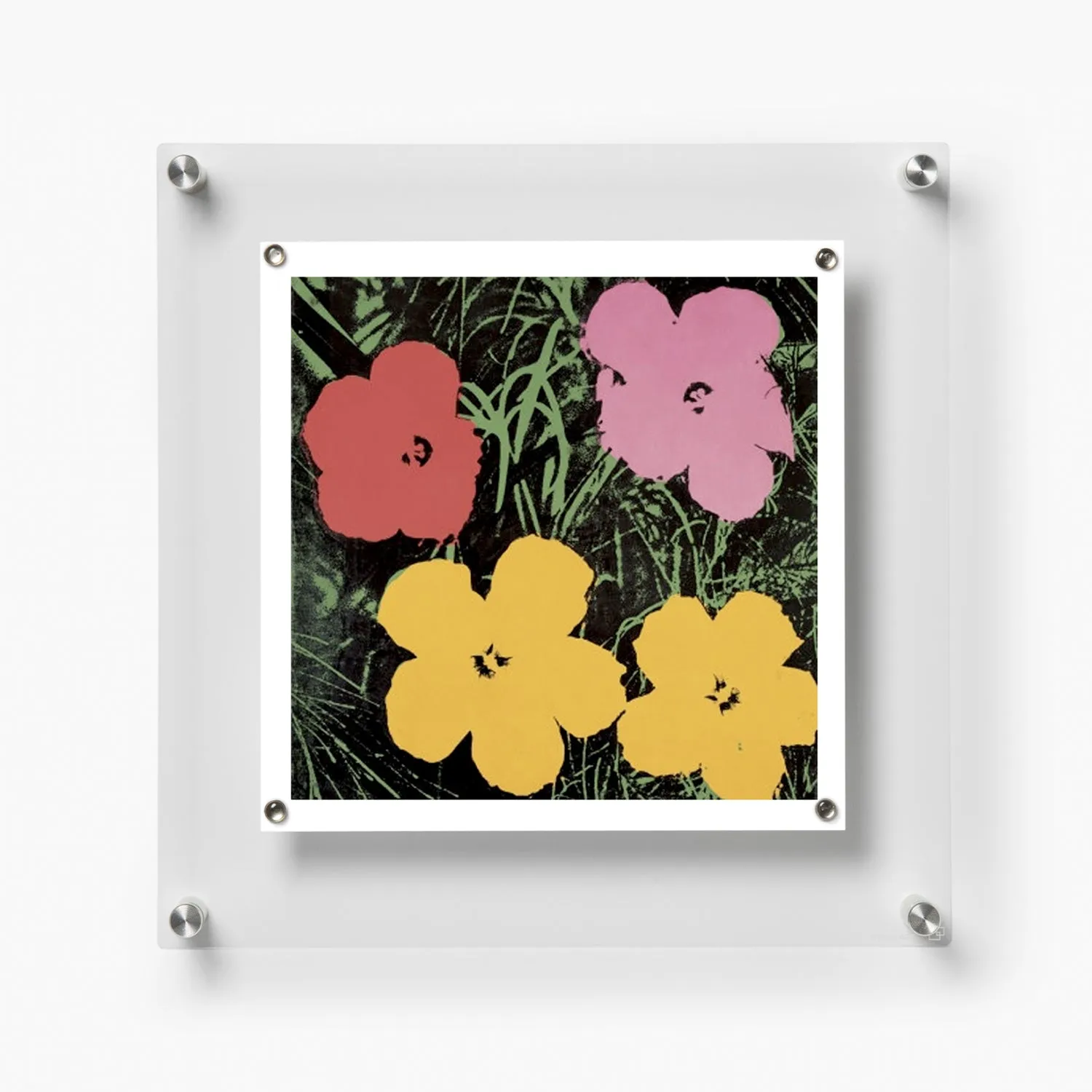 Single Panel Frames   Magnets Case Packs