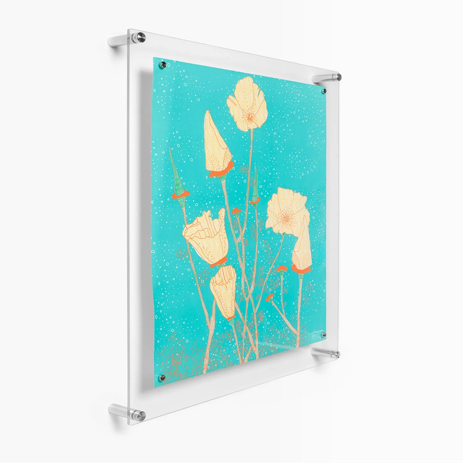 Single Panel Frames   Magnets Case Packs