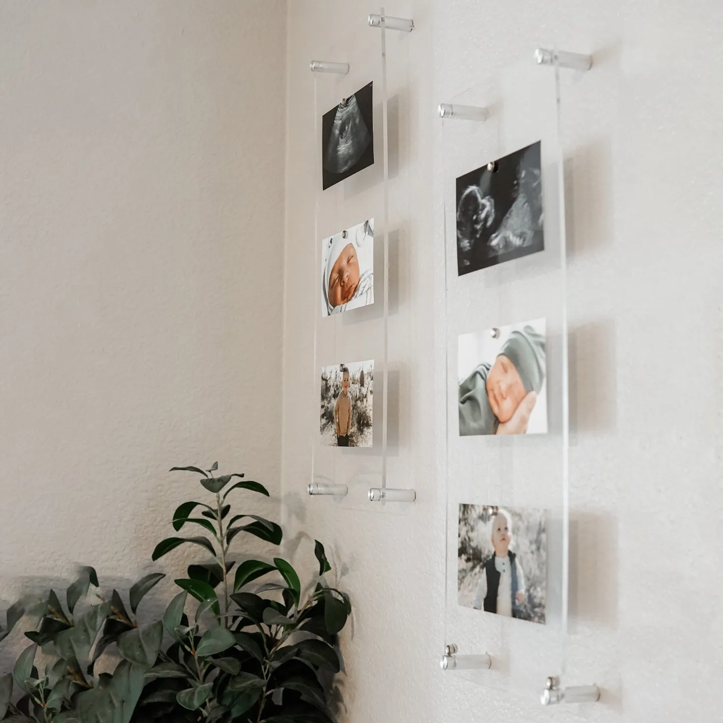 Single Panel Frames   Magnets Case Packs