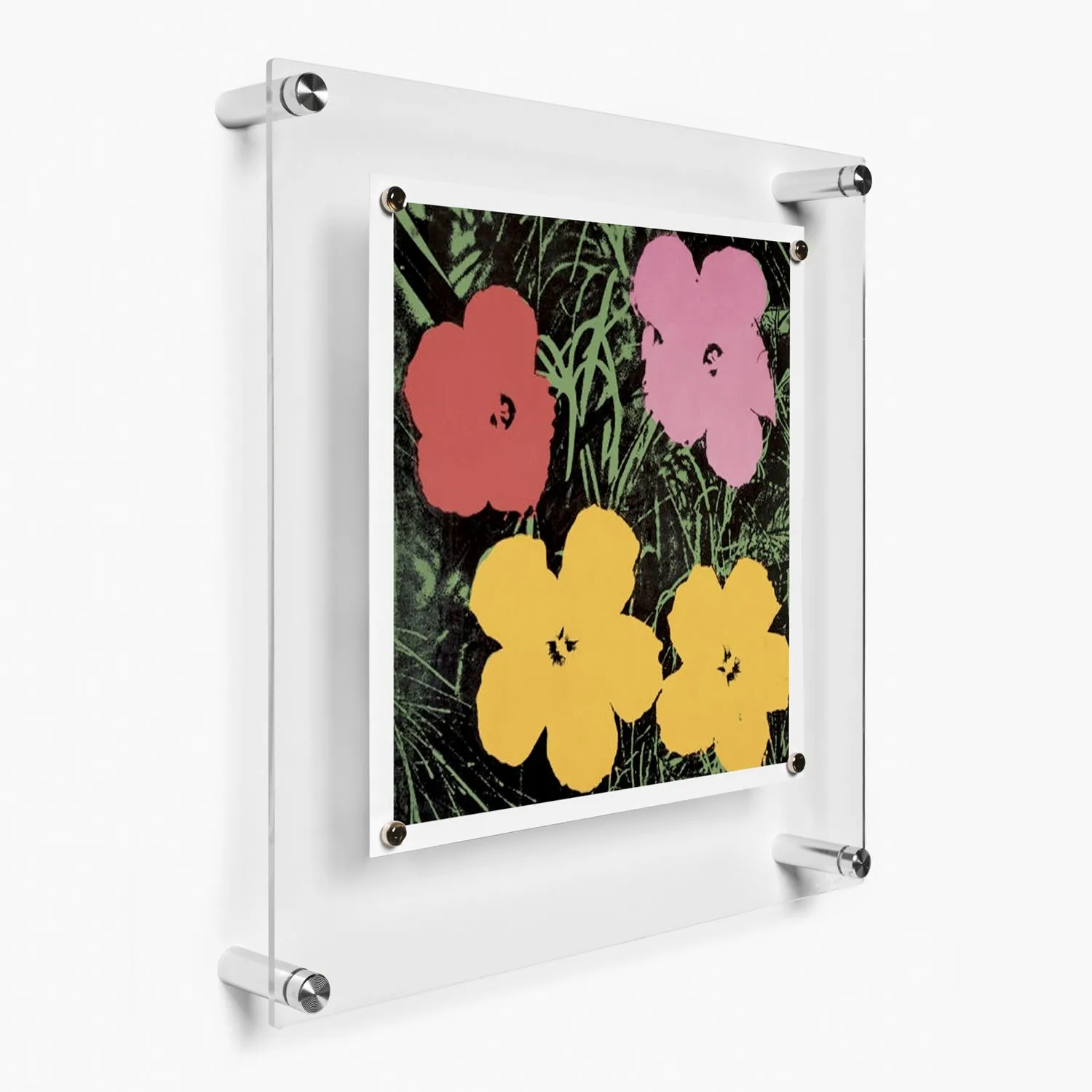 Single Panel Frames   Magnets Case Packs