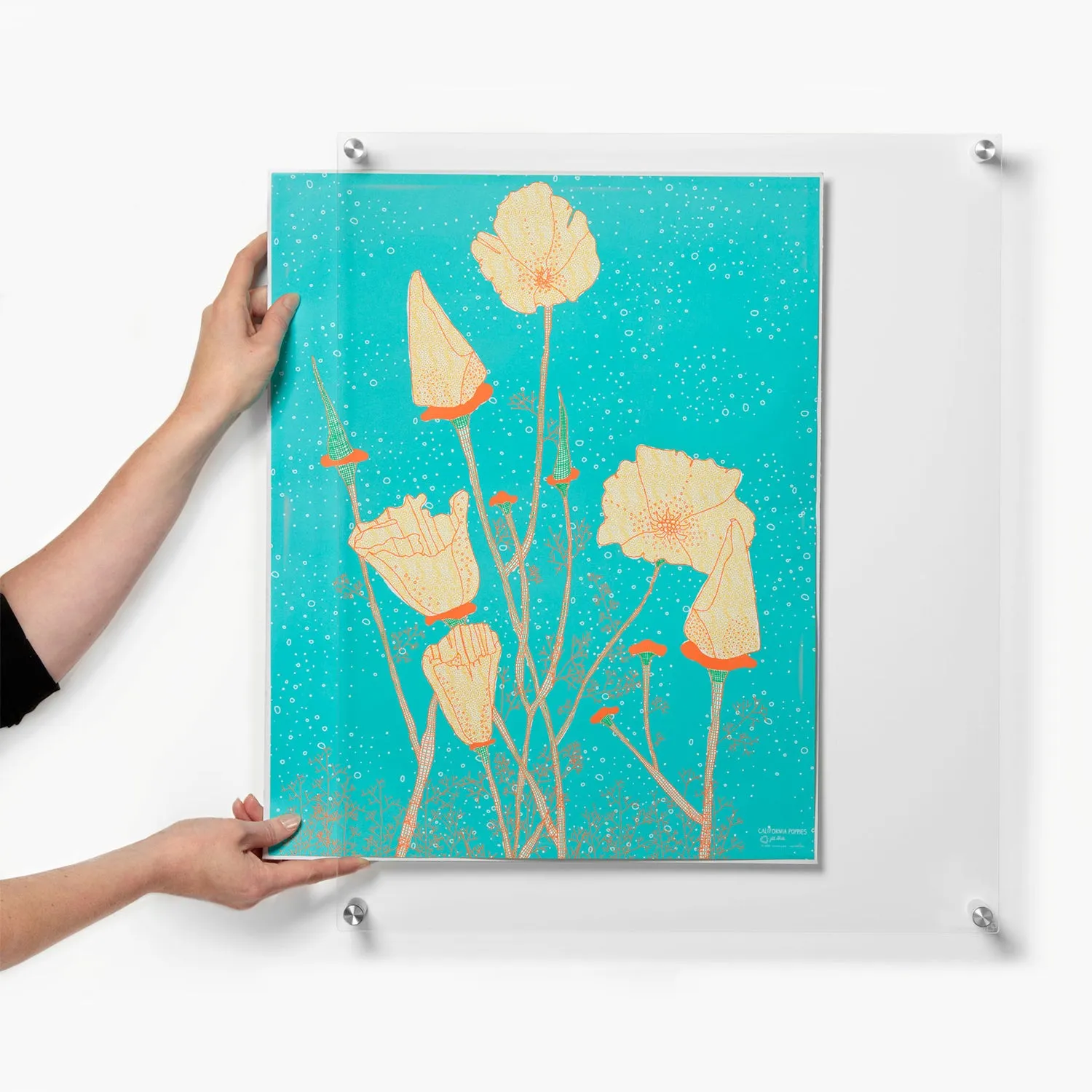 Single Panel Frames   Magnets Case Packs