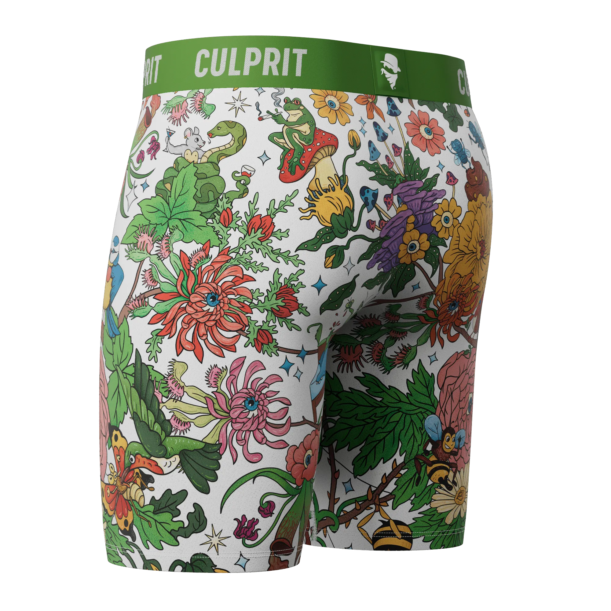 The Birds and The Bees 🐝 Long-Cut Boxer Briefs w/ fly